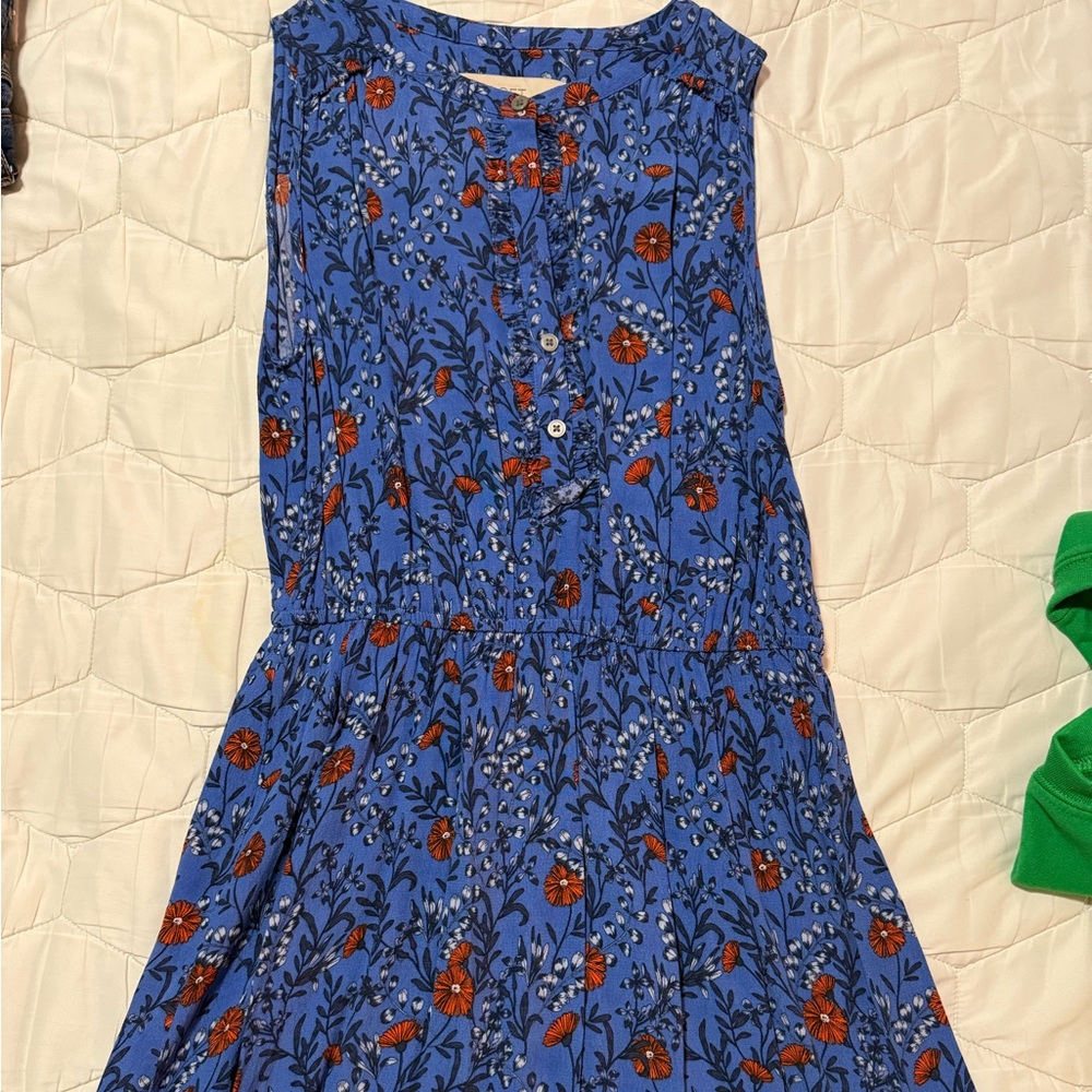 Ann Taylor LOFT Floral Blue Dress with Red Accents